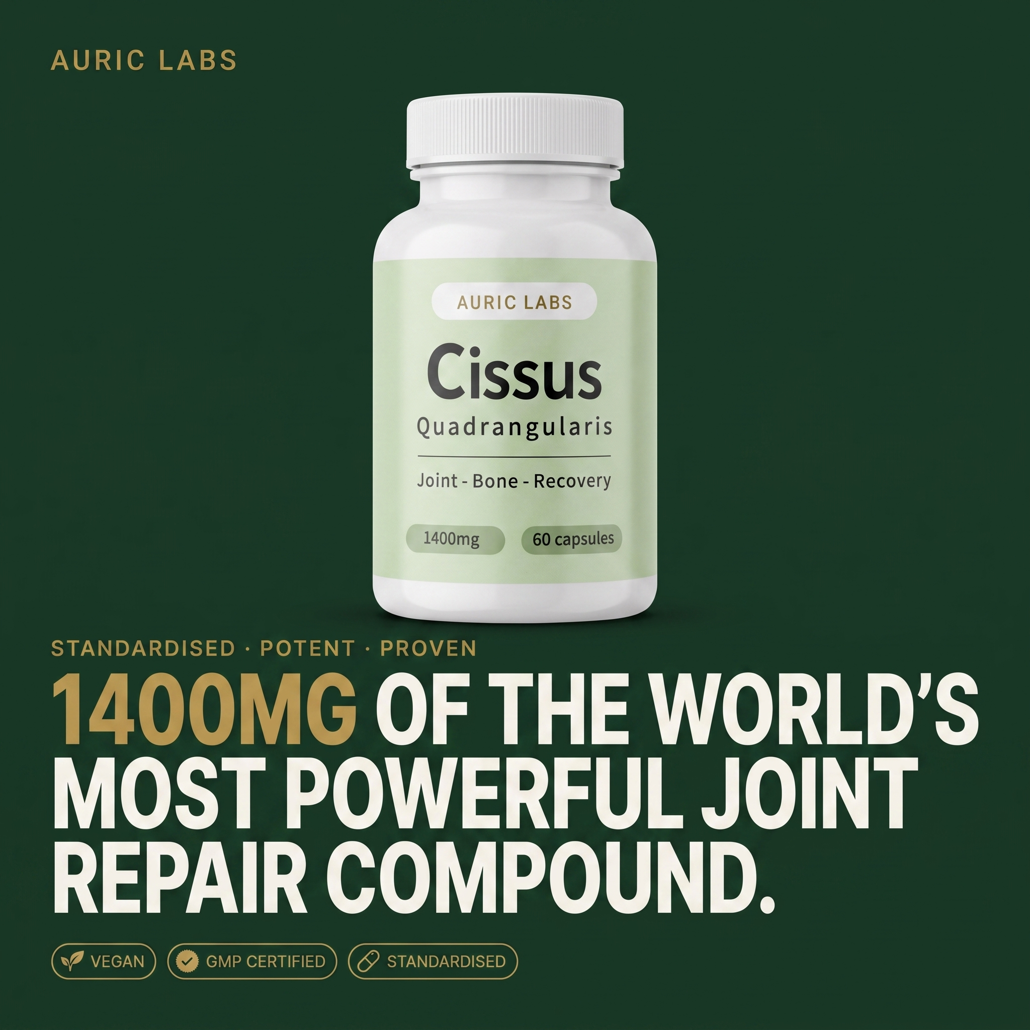 Auric Labs Cissus Quadrangularis 1400mg
